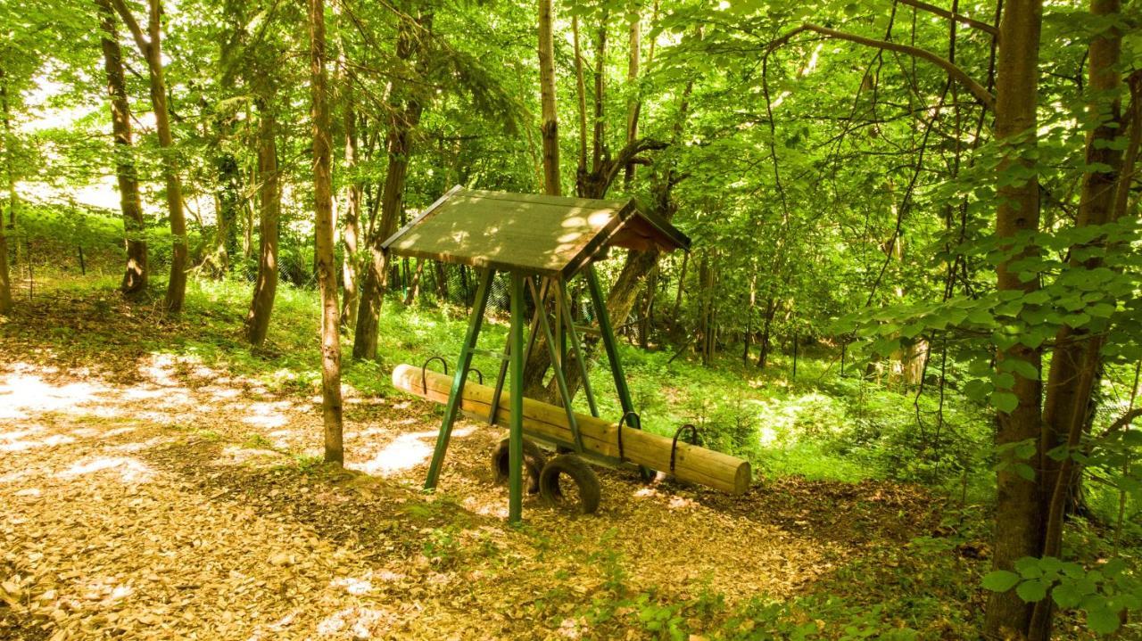 Adventure Farm Bed & Breakfast Store Luaran gambar