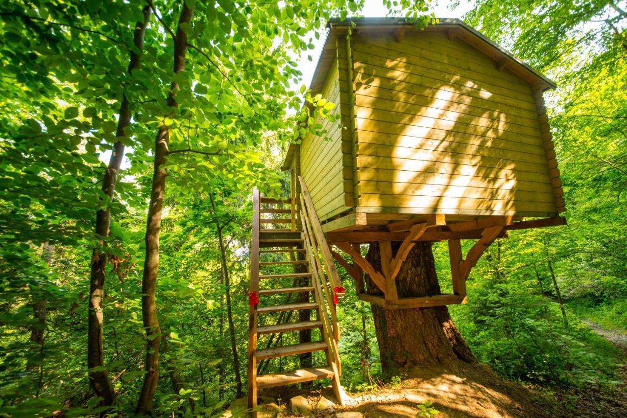 Adventure Farm Bed & Breakfast Store Luaran gambar