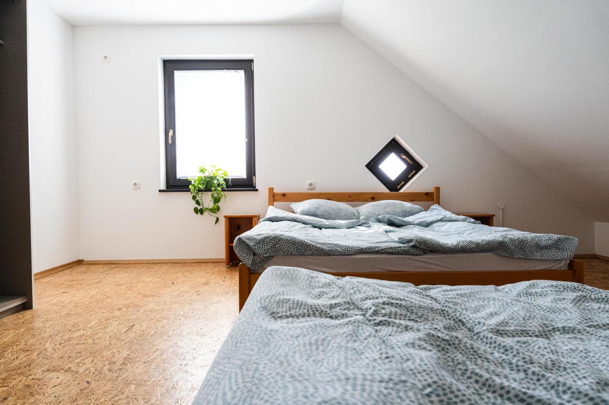 Adventure Farm Bed & Breakfast Store Luaran gambar